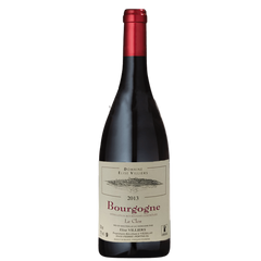 Domaine Elise Villiers AOC BOURGOGNE ‘LE CLOS’ 2013