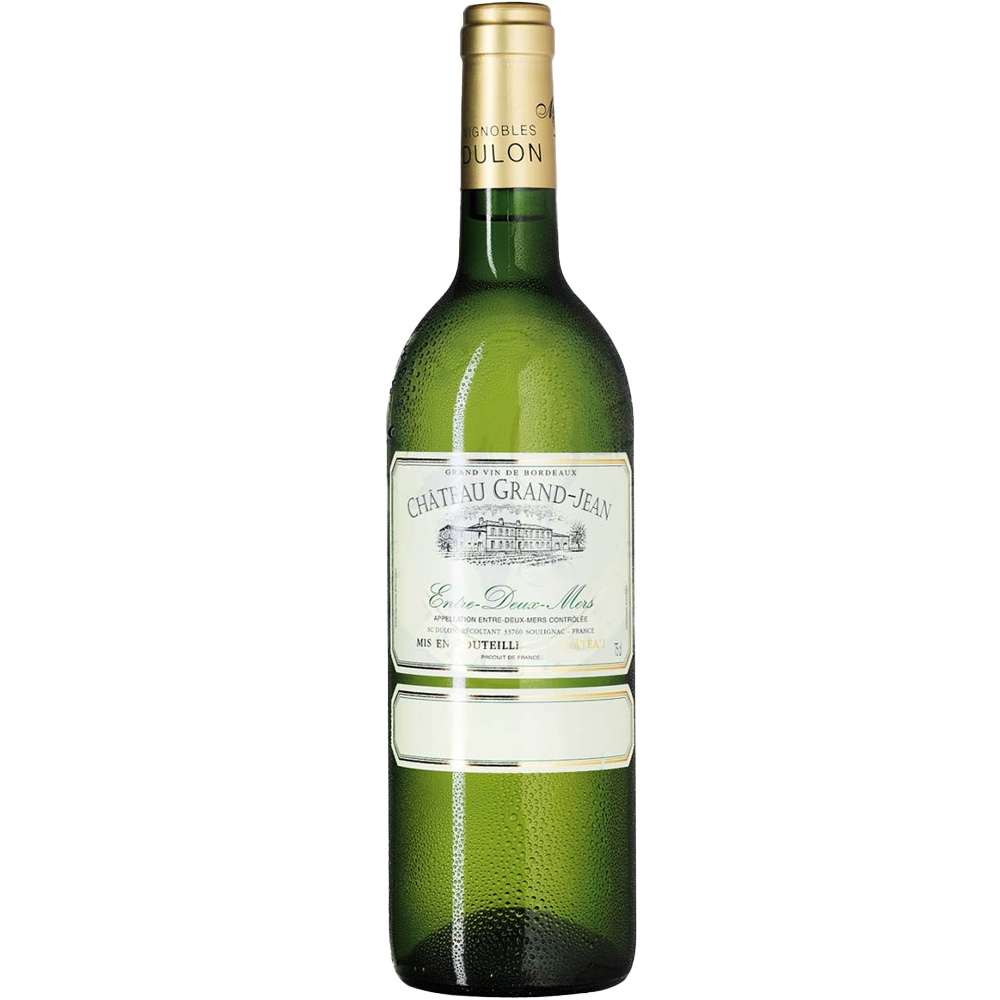Chateau Grand Jean AOC Bordeaux Blanc 2023
