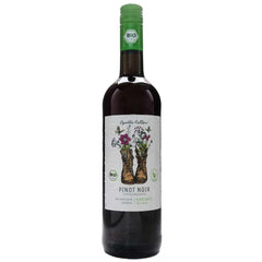 Bio Spätburgunder Apollofalter Q.b.A. - Trocken Rheinhessen Bio 2020 - Pinot