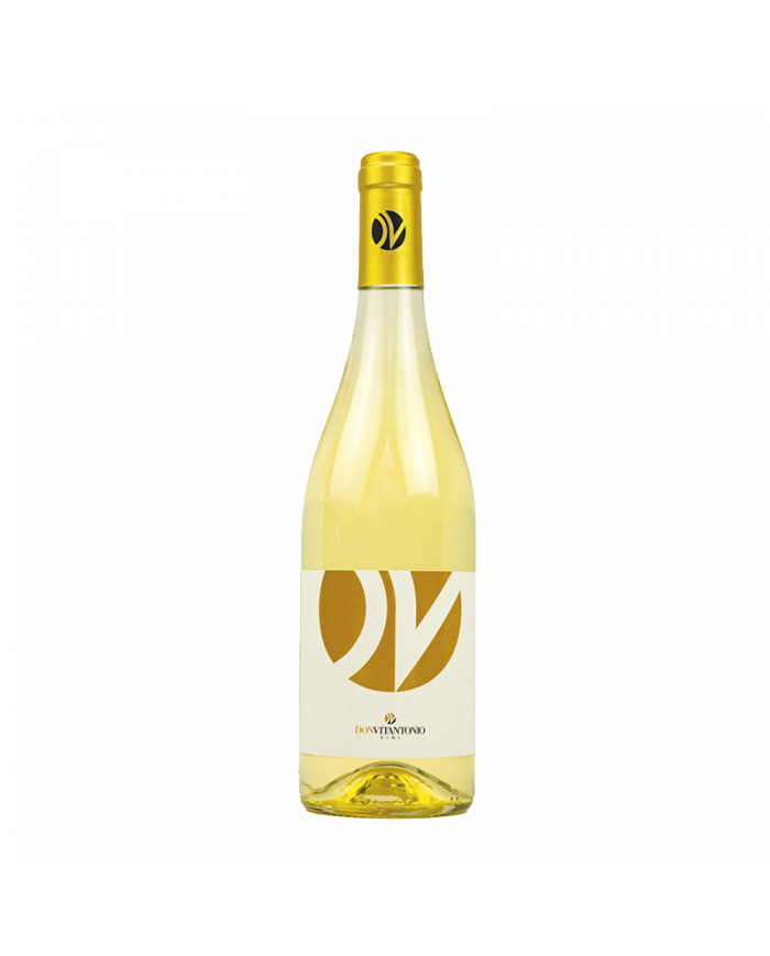 DONVITANTONIO PECORINO IGP TERRE DI CHIETI