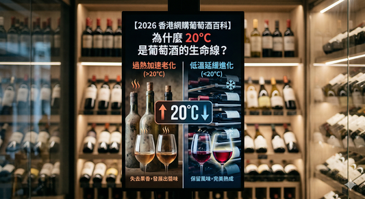 【2026 香港網購葡萄酒百科】為什麼 20°C 是葡萄酒的生命線？深度解析 Wine Century 的全天候溫控物流