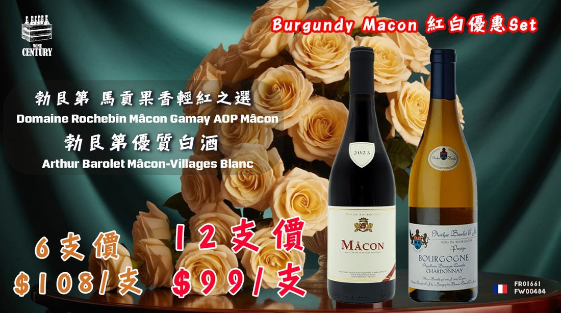 【✨Burgundy Macon 紅白酒 ✦ 夏日清爽組合🍸】