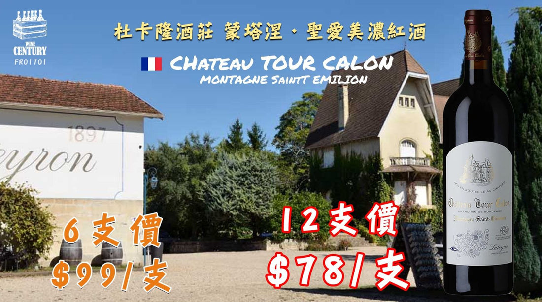 【🇫🇷 杜卡隆酒莊 ✦ Montagne Saint-Émilion 濃郁紅酒🍷】