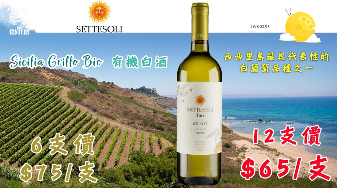【✨Sicilia Grillo Bio 2022｜有機認證 ✦ 清新果香 × 百搭易飲👍🏻】