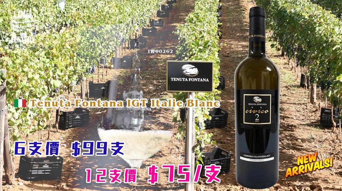 【🌟 南意陽光！那不勒斯海岸的清新白酒 ✦ Tenuta Fontana IGT Italie Blanc (Civico 2)🍸】 【✨清新芳香 / IGT Italie Blanc / 法蘭吉娜品種 / 礦物活力👍🏻】