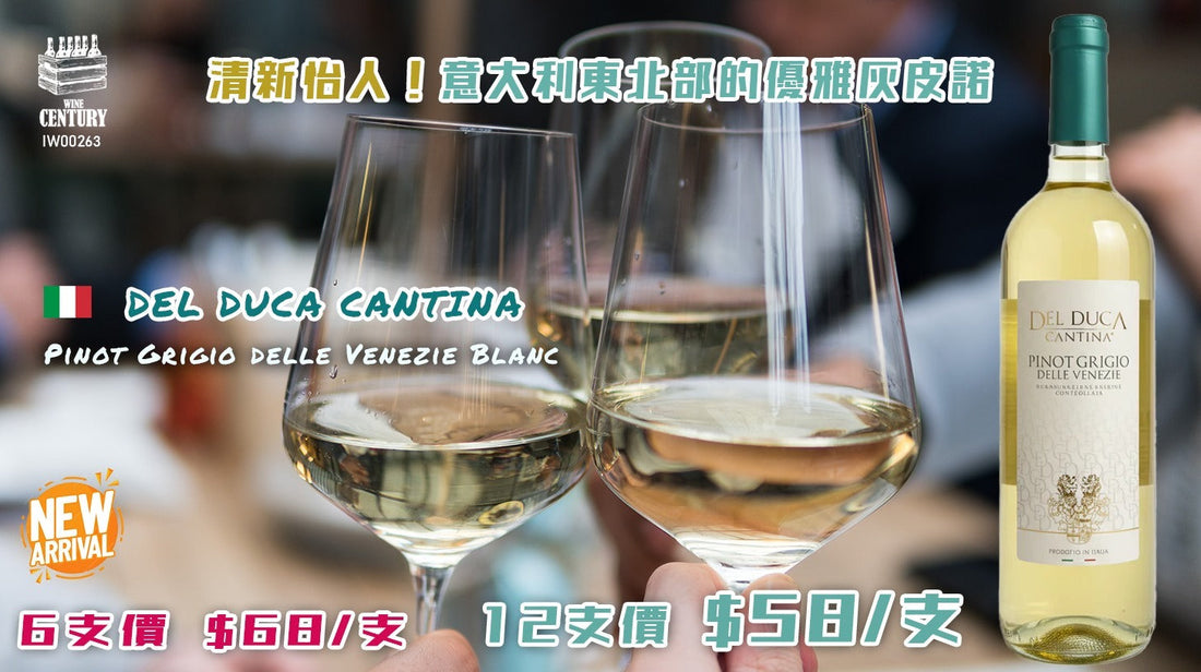 【🥂 清新怡人！意大利東北部的優雅灰皮諾 ✦ Del Duca Cantina Pinot Grigio delle Venezie Blanc👍🏻】 【✨乾爽優雅 / Delle Venezie DOC / 灰皮諾品種 / 清新果味😋】