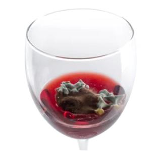 Testing Wine v1