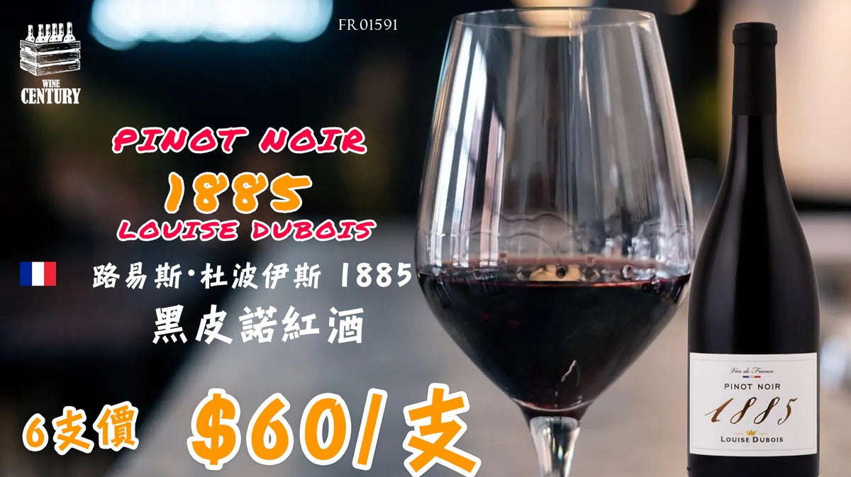 【🍷 百年傳承 ✦ 典雅黑皮諾之選！】