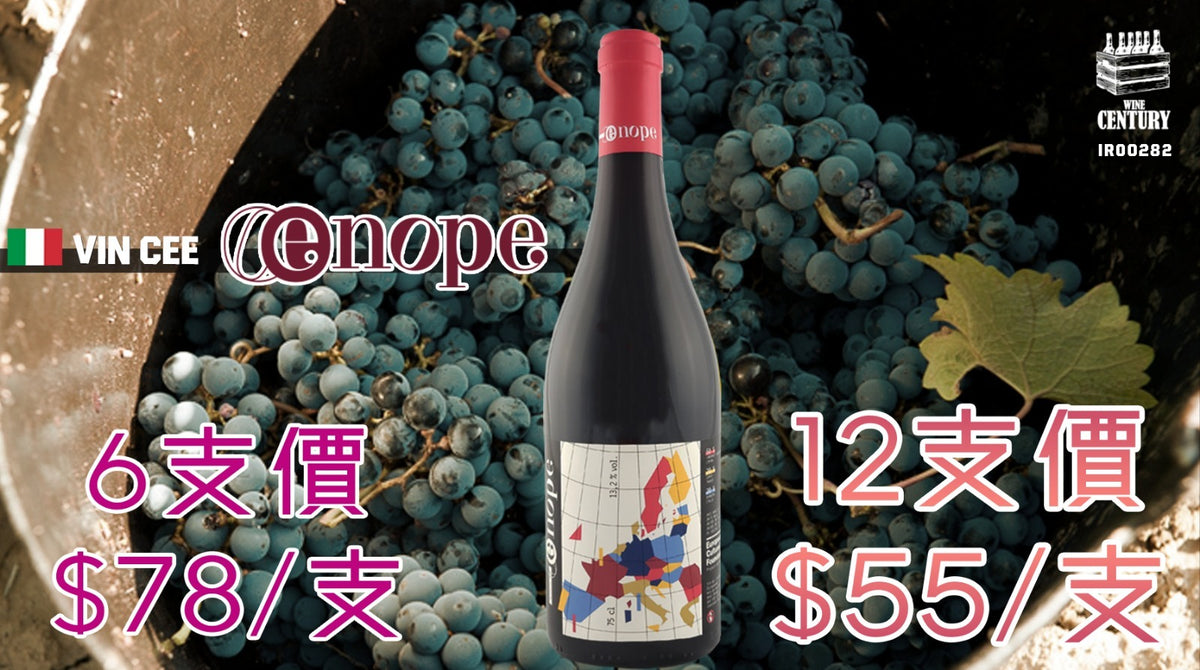 【✨義大利潮飲 ✦ 果香活潑超值紅酒🤩】