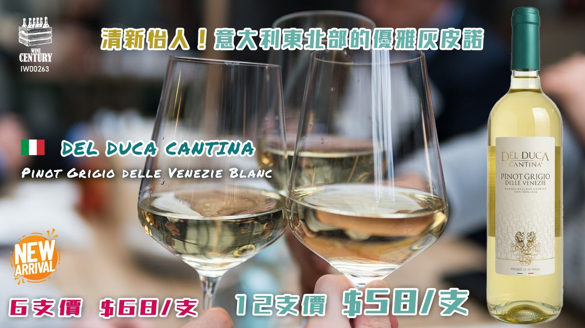 12支優惠價【🥂 清新怡人！意大利東北部的優雅灰皮諾 ✦ Del Duca Cantina Pinot Grigio delle Venezie Blanc👍🏻】 【✨乾爽優雅 / Delle Venezie DOC / 灰皮諾品種 / 清新果味😋】