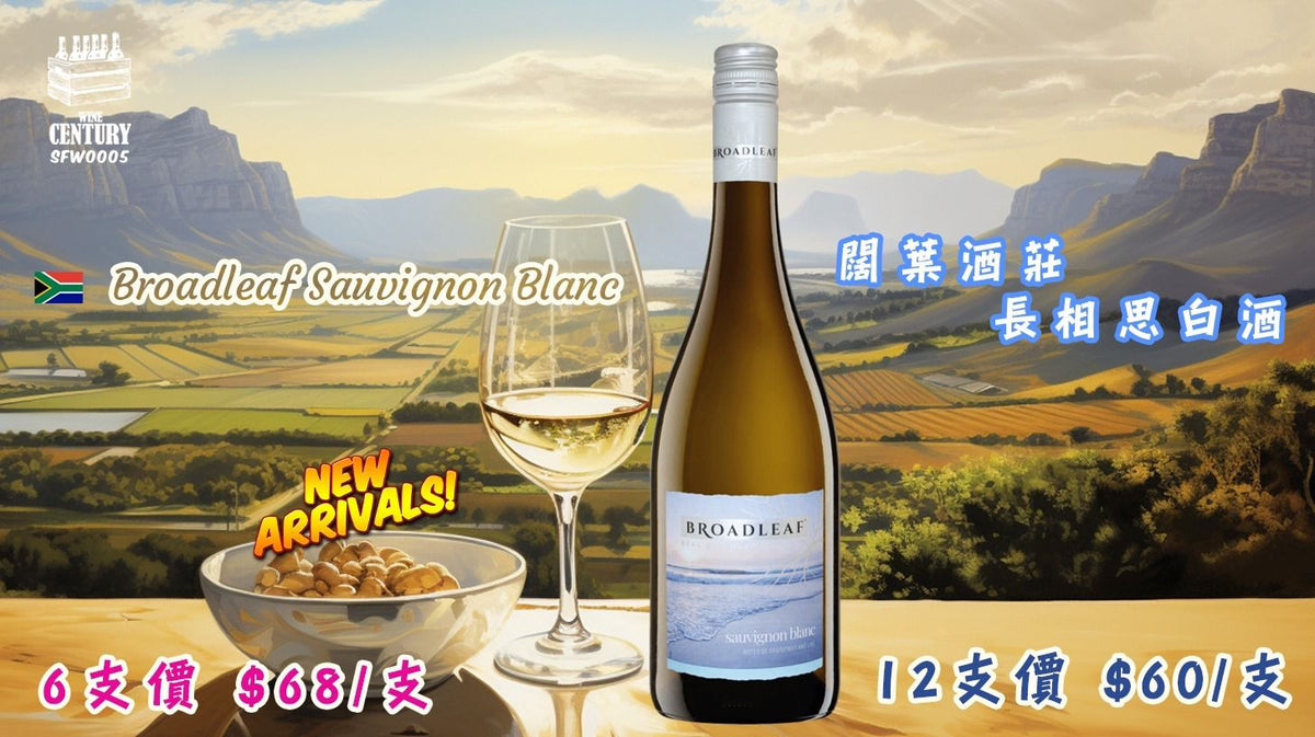 12支價【🍋 夏日清爽白 ✦ 南非熱賣長相思超值之選👍🏻】 【✨Broadleaf Sauvignon Blanc｜闊葉酒莊 長相思白酒🍸】