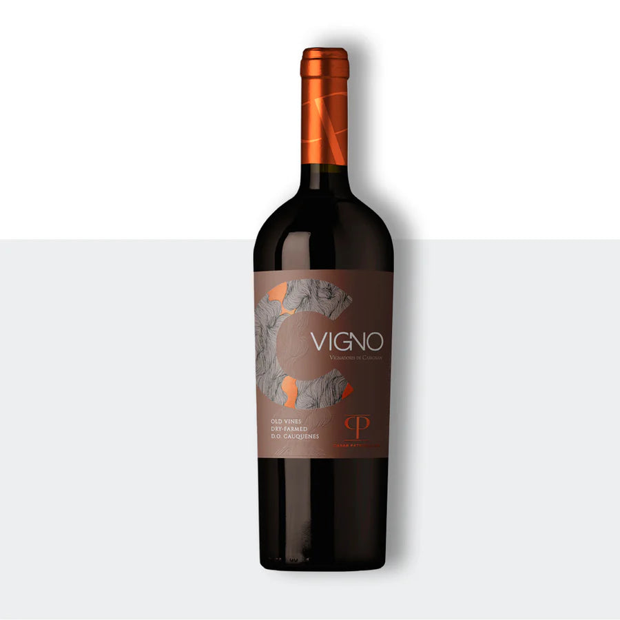 Vigno – Casas Patronales 2023