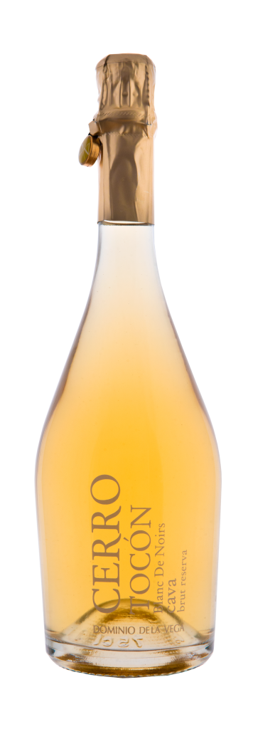 CAVA CERRO TOCÓN - Pinot Noir 2017
